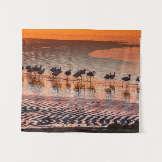 Tenture Réserve nationale de faune andine Eduardo Abaroa (Devant (Horizontal))