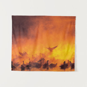 Tenture Réserve nationale de faune Bosque del Apache, NM