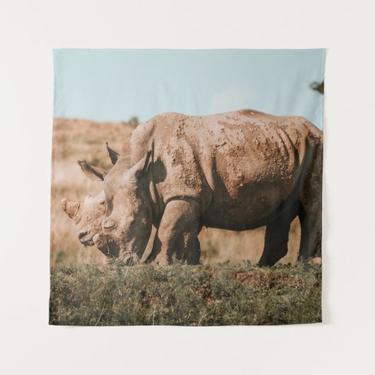 TENTURE RHINO EN AFRIQUE (Devant)
