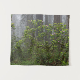Tenture Rhododendron dans le parc national de Redwood en C