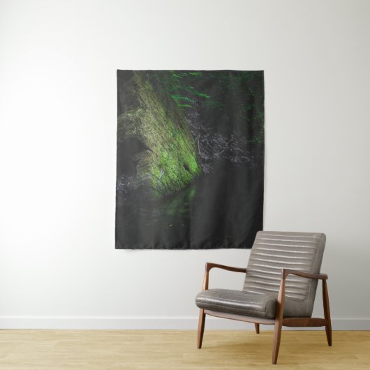 Tenture Roche mousse verte avec réflexion dans l'eau (En situation)