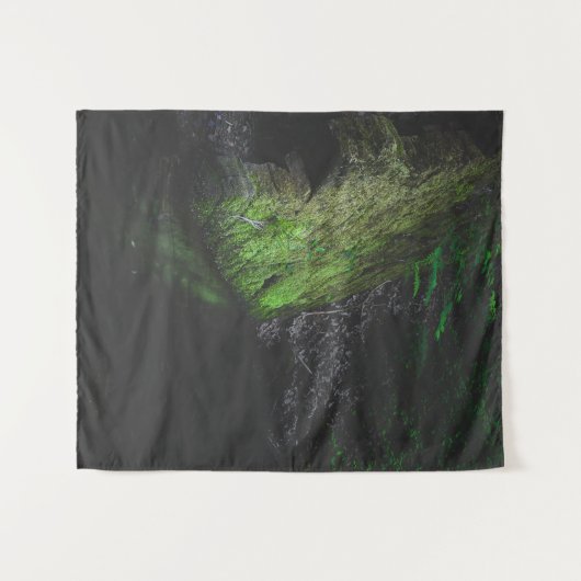Tenture Roche mousse verte avec réflexion dans l'eau (Devant (Horizontal))