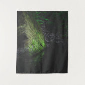 Tenture Roche mousse verte avec réflexion dans l'eau (Devant)