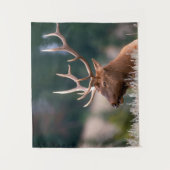 Tenture Rocky Mountain Elk Parc national de Yellowstone (Devant)