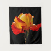 Tenture Rose orange pêche (Devant)