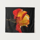 Tenture Rose orange pêche (Devant (Horizontal))