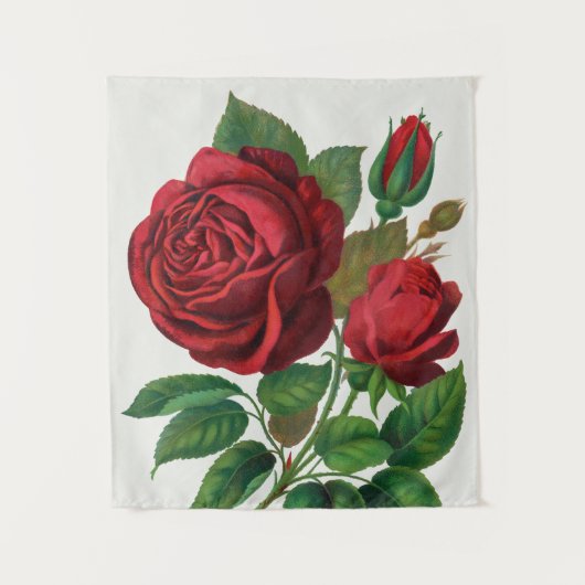 Tenture Rose Print Rochester Lithographing and Printing Co (Devant)