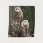 Tenture Royaume des Loups Blancs (Devant)
