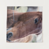 TENTURE SAD HORSE (Devant (Horizontal))