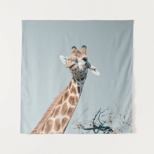 TENTURE SAFARI (Devant)