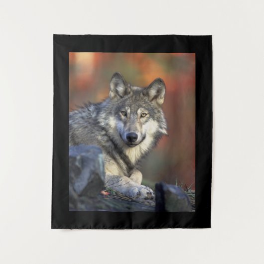 Tenture Sagesse du loup (Devant)