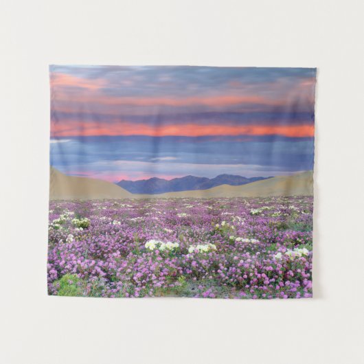 Tenture Sand Verbena & Dune Primrose Fleurs sauvages au co (Devant (Horizontal))