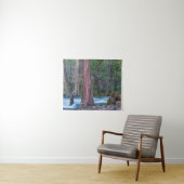 Tenture Sequoias & Merced River Yosemite National Park, CA (En situation (horizontale))