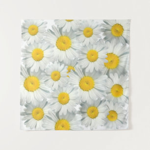 Tenture Shasta Daisies