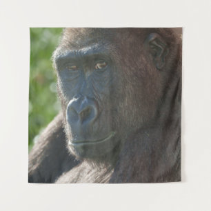 Tenture Shufai du zoo de Twycross