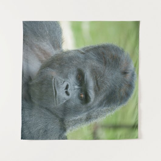 Tenture Silverback Dishi (Devant (Horizontal))