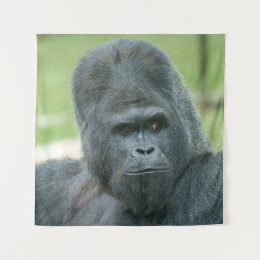 Tenture Silverback Dishi (Devant)