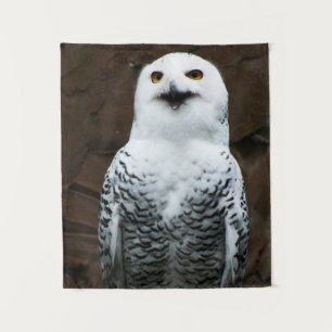 Tenture Snowy Owl wtcna