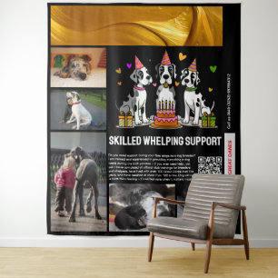 Tenture Soutien aux mises bas qualifiées