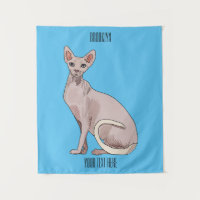 Sphynx cat
