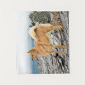 Tenture Spitz finlandais à Seashore Peinture - Chien Art (Devant)