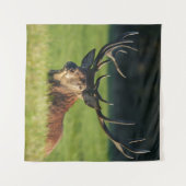 Tenture Stag Reposé Dans L'Herbe Verte (Devant (Horizontal))