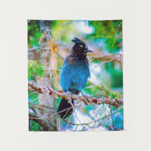 Tenture Steller's Jay - Photographie originale