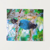 Tenture Steller's Jay - Photographie originale (Devant (Horizontal))