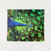 Tenture Strut de Peacock (Devant (Horizontal))