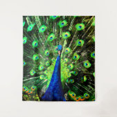 Tenture Strut de Peacock (Devant)