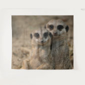 Tenture Suricate 067 (Devant (Horizontal))