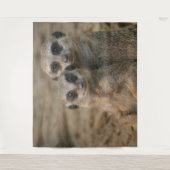 Tenture Suricate 067 (Devant)