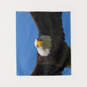 Tenture Survol de pygargue à tête blanche de près (Devant)