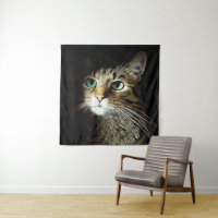 Tabby Chat Aux Yeux Verts Isolé Sur Noir