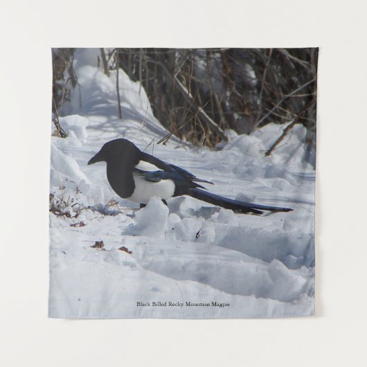 Tenture Tapis carré Black Billed Rocky Mountain Magpie (Devant)