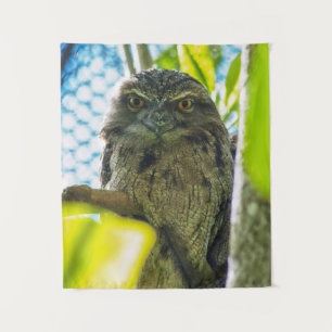 Tenture Tawny n'est pas une chouette