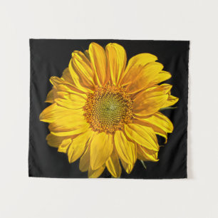 Tenture Tcnm