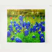 Tenture Texas Bluebonnets Hill Country Fine Art (Devant (Horizontal))