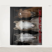 Tenture Three Horses Party Time Photo Backdrop  (Devant)