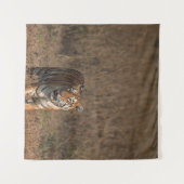 TENTURE TIGER PORTRAIT (Devant (Horizontal))