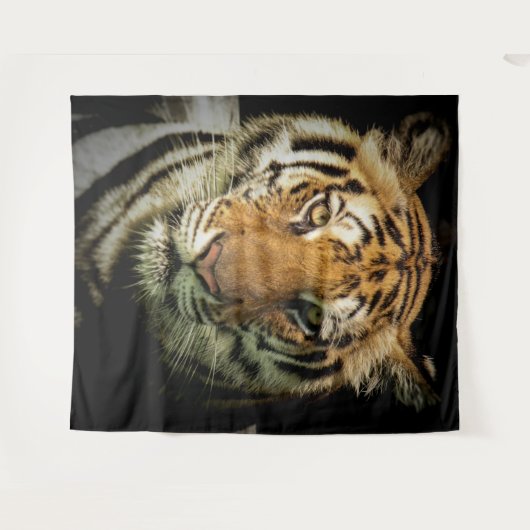Tenture tigre (Devant (Horizontal))