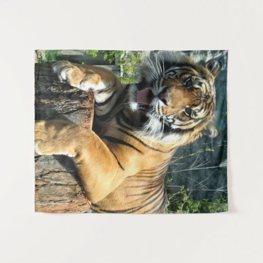 Tenture Tigre (Devant (Horizontal))