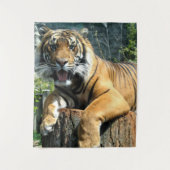 Tenture Tigre (Devant)