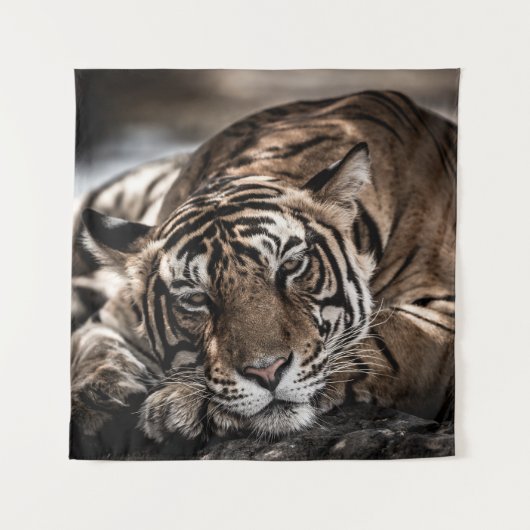 Tenture Tigre de Ranthambore : gros plan. (Devant)