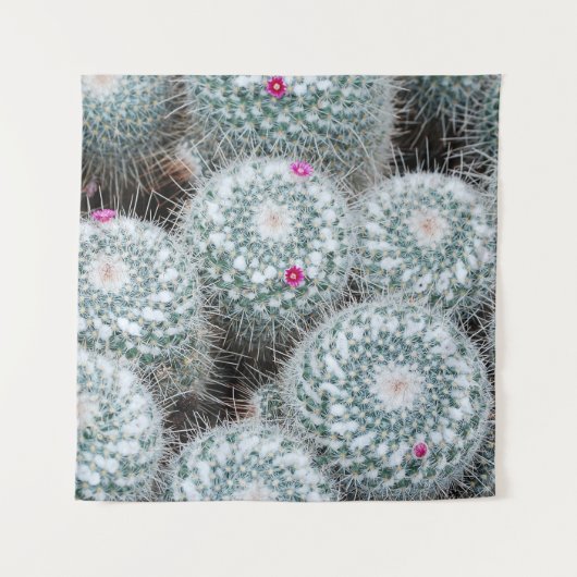 Tenture Tiny rose Fleurs Plantes Cactus (Devant)