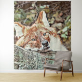 Tenture Toony Fox (En situation)