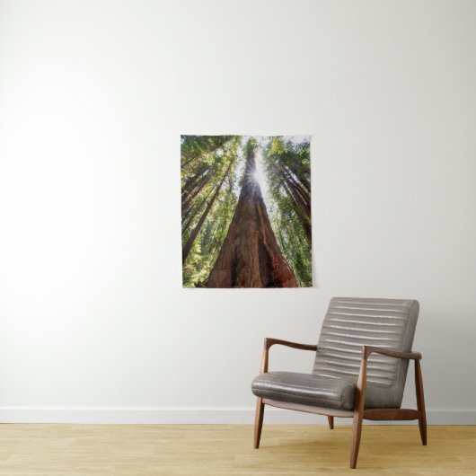 Tenture Tours des séquoias (En situation)