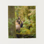 Tenture Trois Vaches De Elk Roosevelt Regardant Vue (Devant)