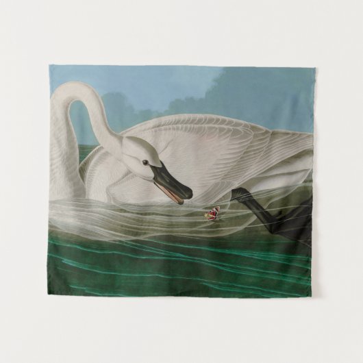 Tenture Trumpeter Swan Birds of America Audubon Print (Devant (Horizontal))