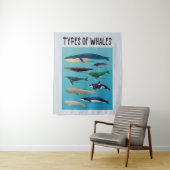 Tenture Types De Baleines Variété Mammifère Océanique (En situation)